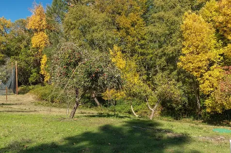 4027 Azalea Drive Grants Pass OR 97526