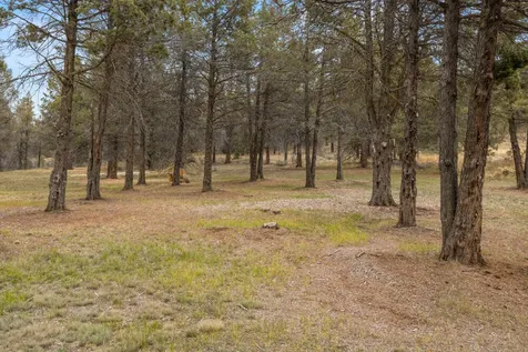 1161 Paper Birch Way Klamath Falls OR 97601