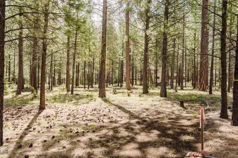 70179 Atherium Black Butte Ranch OR 97759