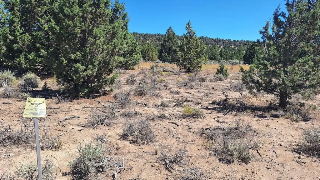 1100 Goldenview Ranch Bend OR 97701