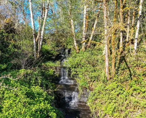 27277 Lower Smith River Road Reedsport OR 97467