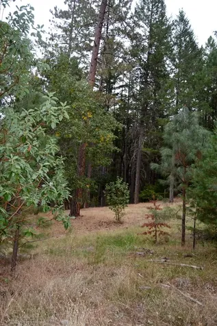 635 Ewe Creek Road Grants Pass OR 97526