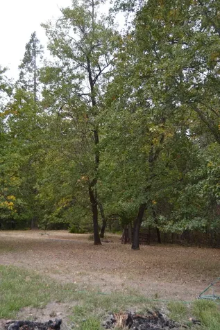 635 Ewe Creek Road Grants Pass OR 97526
