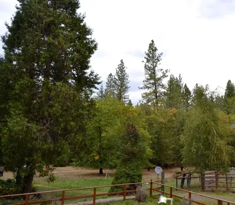 635 Ewe Creek Road Grants Pass OR 97526