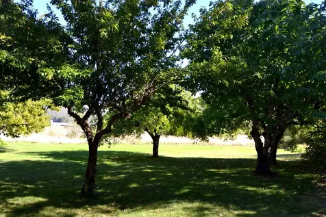 15950 Highway 238 Applegate OR 97530