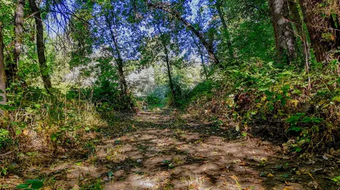 18200 Williams Highway Williams OR 97544