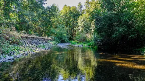 18200 Williams Highway Williams OR 97544
