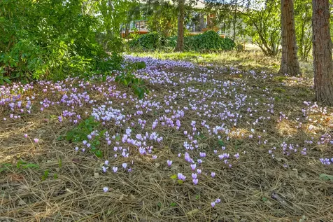 642 Spring Creek Drive Ashland OR 97520