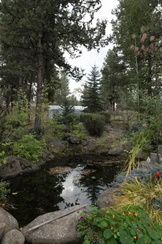 3508 Cougar Butte Lane Klamath Falls OR 97601
