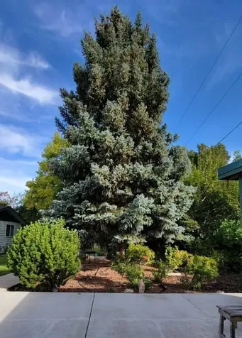 320 SW Beaver Street Prineville OR 97754