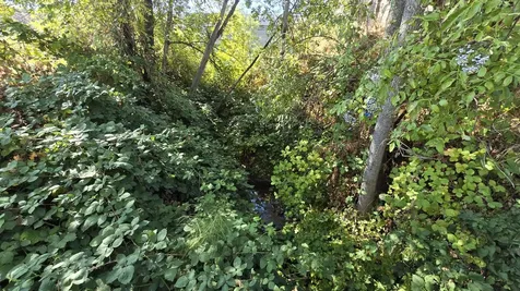 488 Crowson Road Ashland OR 97520