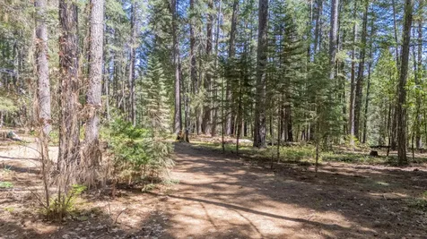 100 Linkhart Drive Selma OR 97538