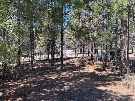 124249 Little Deschutes Drive Crescent Lake OR 97733