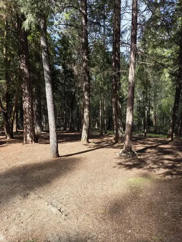 3760 Pleasant Creek Road Rogue River OR 97537