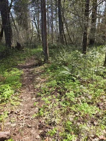 3760 Pleasant Creek Road Rogue River OR 97537