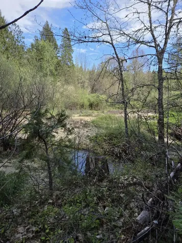 3760 Pleasant Creek Road Rogue River OR 97537