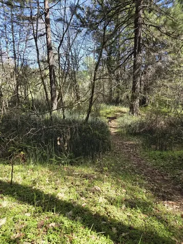 3760 Pleasant Creek Road Rogue River OR 97537
