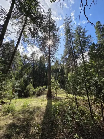 3760 Pleasant Creek Road Rogue River OR 97537