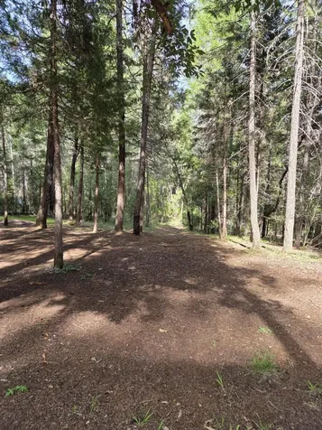 3760 Pleasant Creek Road Rogue River OR 97537