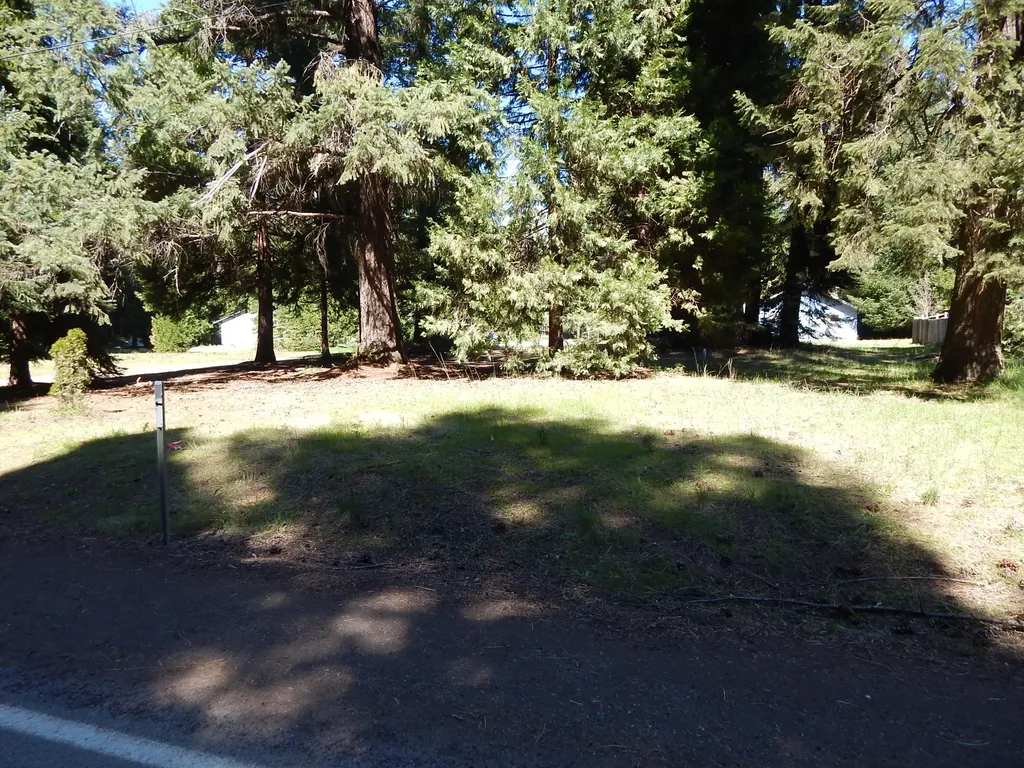 Red Blanket Road Prospect OR 97536