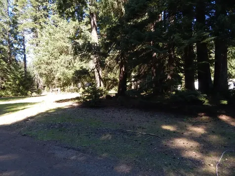 Red Blanket Road Prospect OR 97536