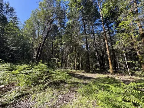 5125 Hugo Road Grants Pass OR 97526