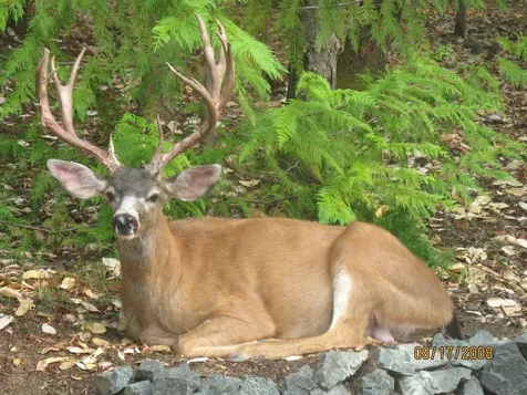 260 Highwood Lane Grants Pass OR 97527