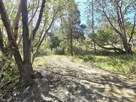 12726 Water Gap Road Williams OR 97544
