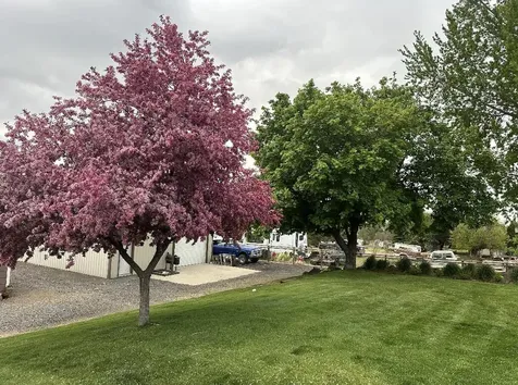 2514 S Adams Drive Madras OR 97741