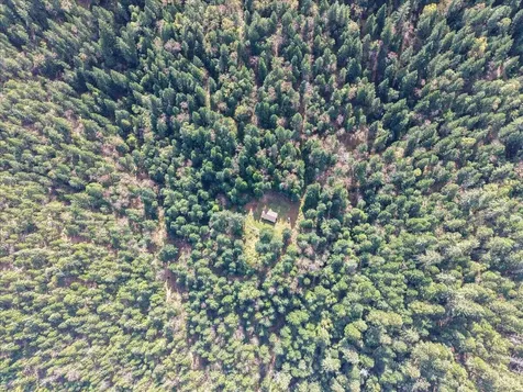 2787 Davis Creek Road Selma OR 97538