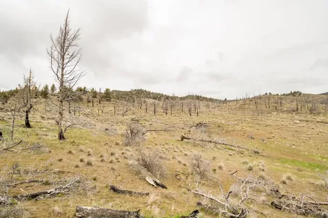 23259 SE Paulina Highway Prineville OR 97754