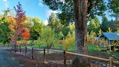 343 Rene Drive Shady Cove OR 97539