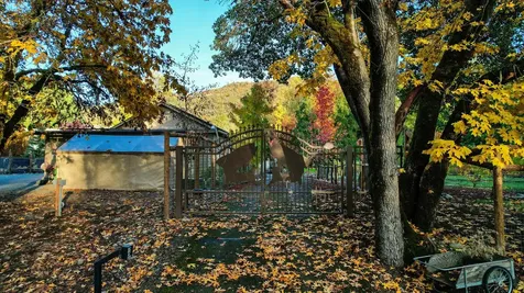 343 Rene Drive Shady Cove OR 97539