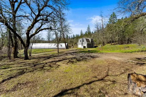 164 Busch Road Trail OR 97541