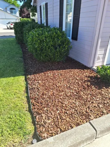 1537 Hartell Street Medford OR 97504