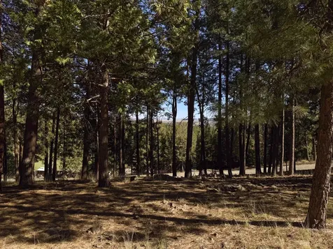 8909 Ponderosa Place Klamath Falls OR 97601
