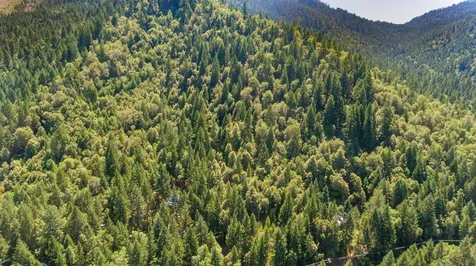 4901 Thompson Creek Road Selma OR 97538
