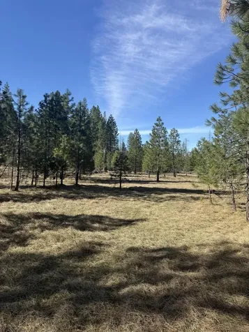 0 Swede Basin Road Selma OR 97538