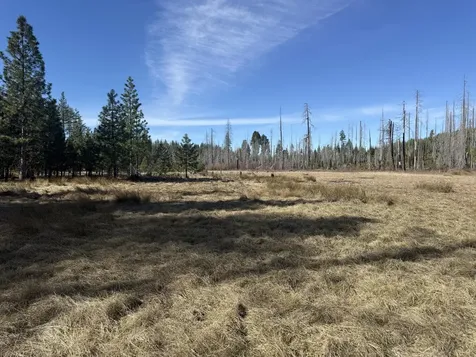 0 Swede Basin Road Selma OR 97538