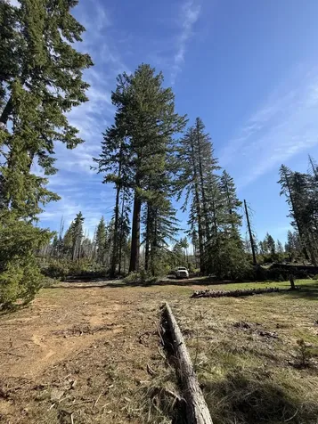 0 Swede Basin Road Selma OR 97538