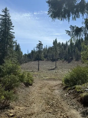 0 Swede Basin Road Selma OR 97538