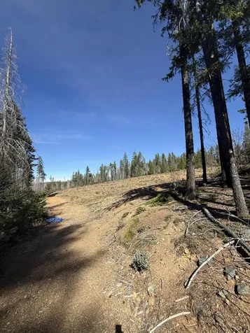 0 Swede Basin Road Selma OR 97538