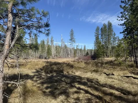 0 Swede Basin Road Selma OR 97538