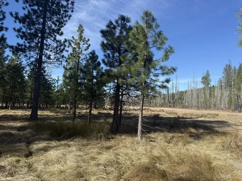 0 Swede Basin Road Selma OR 97538
