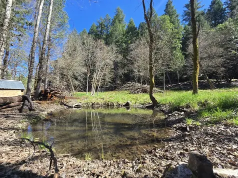 101 Cascade Drive Cave Junction OR 97523