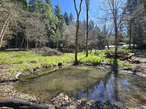 101 Cascade Drive Cave Junction OR 97523