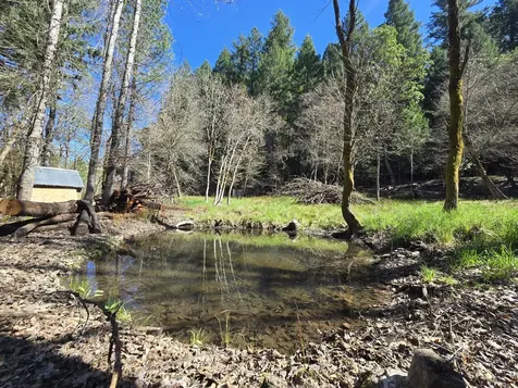101 Cascade Drive Cave Junction OR 97523