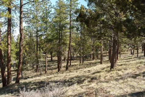 1784 NW Wild Rye Circle Bend OR 97703