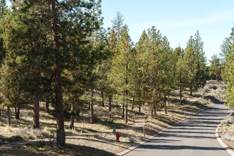 1784 NW Wild Rye Circle Bend OR 97703