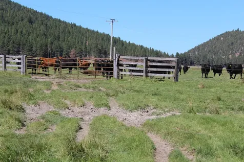 12046 Old Fort Road Klamath Falls OR 97601